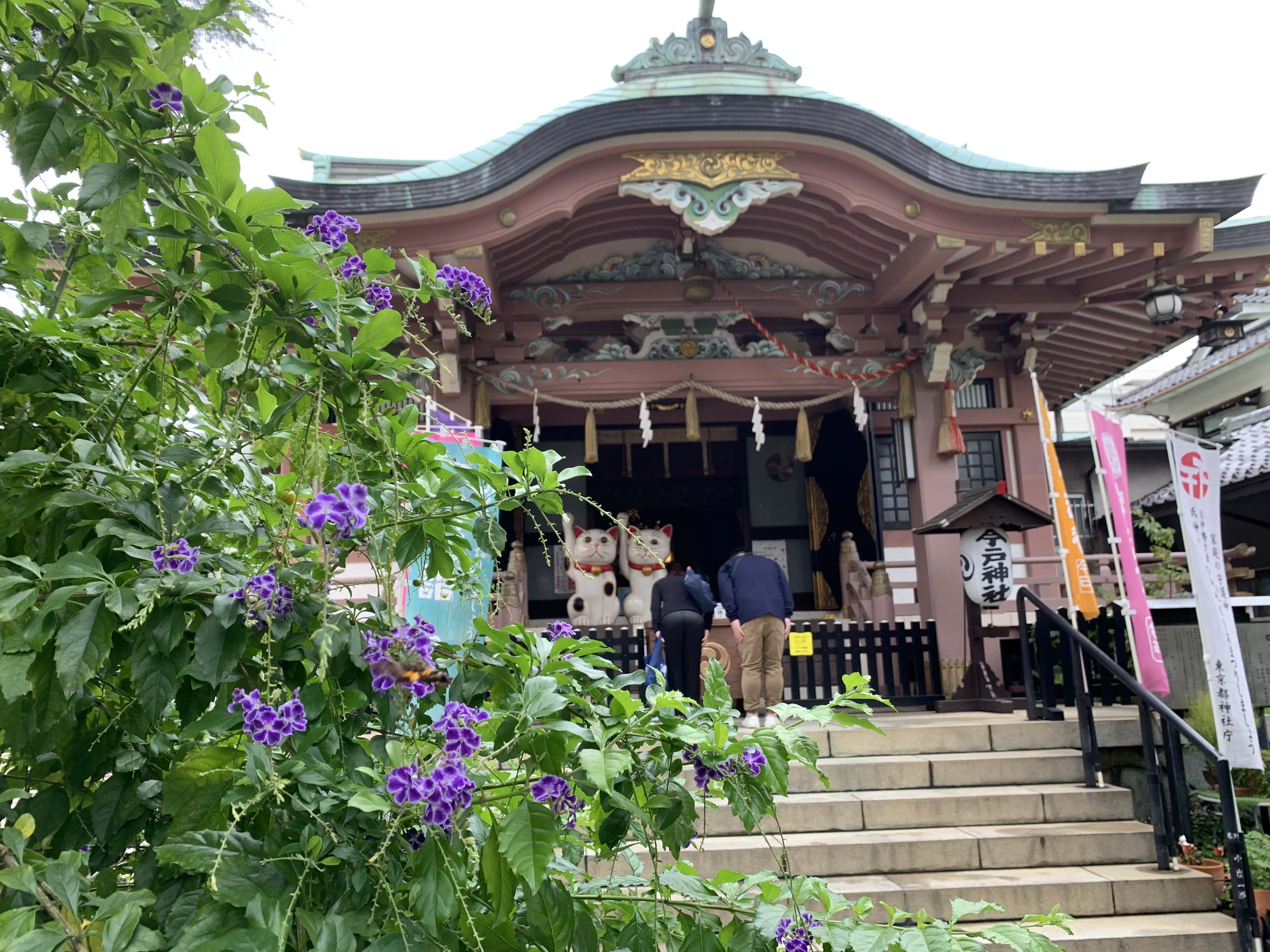 今戸神社 デュランタ宝塚